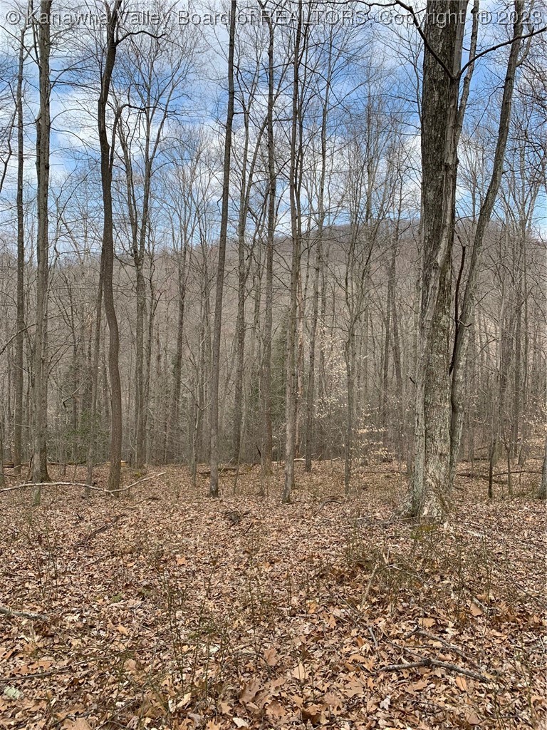 444 Carolina Mountain Road Sutton, WV 26601 - Photo 11 of 17 Gallery Image 11