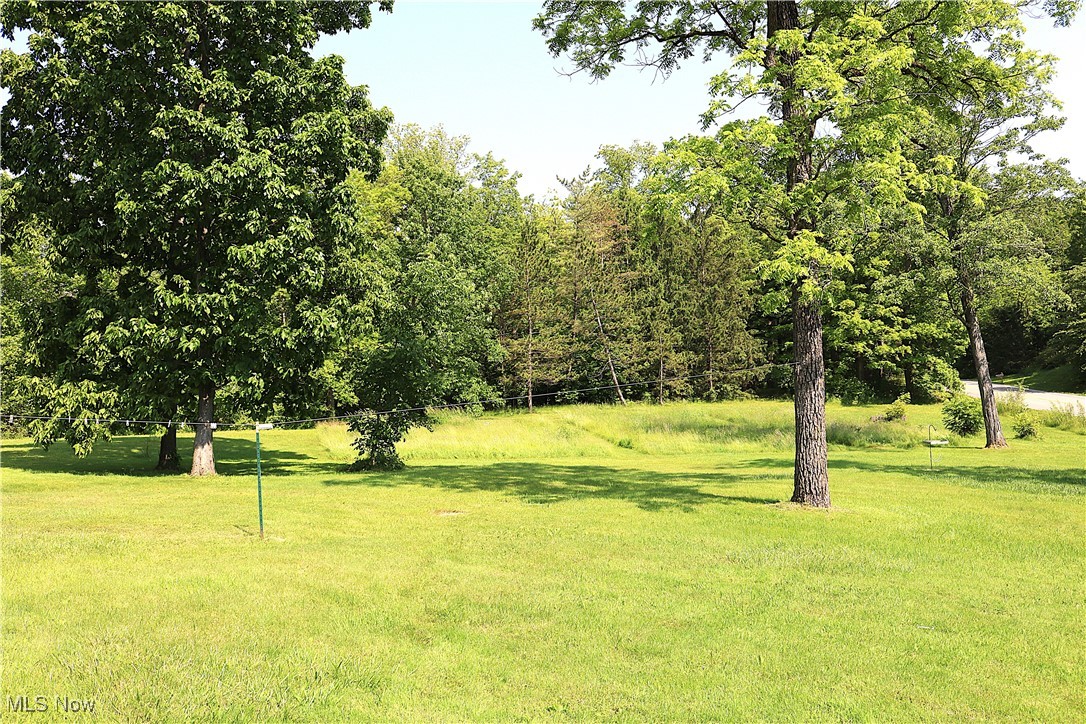 14485 Bass Lake Road Newbury, OH 44065 - Photo 9 of 22 View of grassy yard