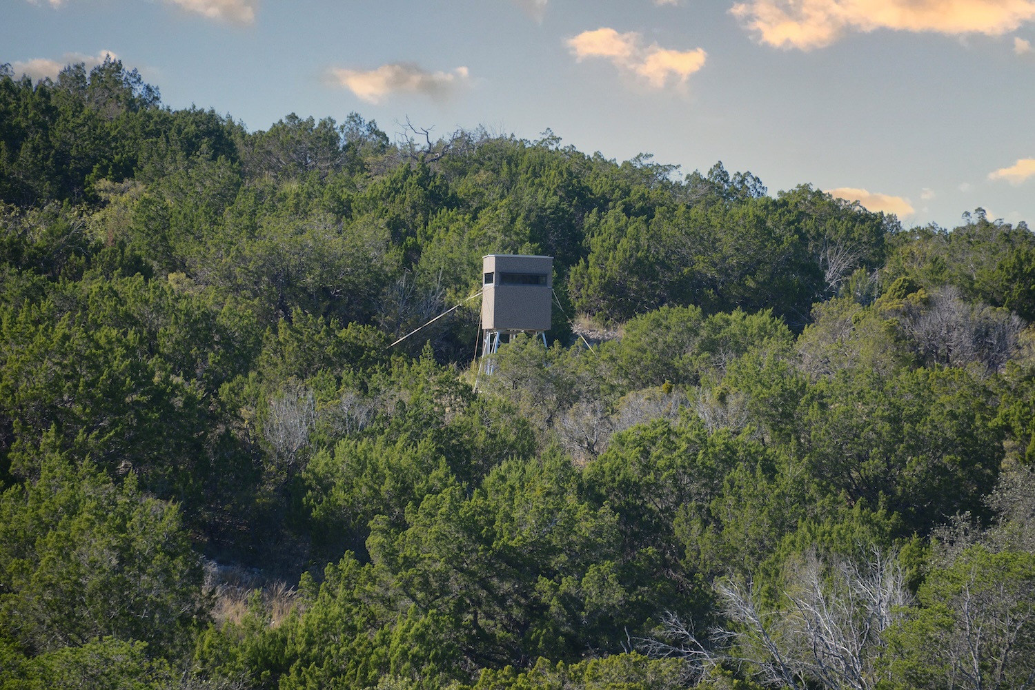 Undisclosed Address Rocksprings, TX 78880 - Photo 17 of 30 a view of a garden with trees