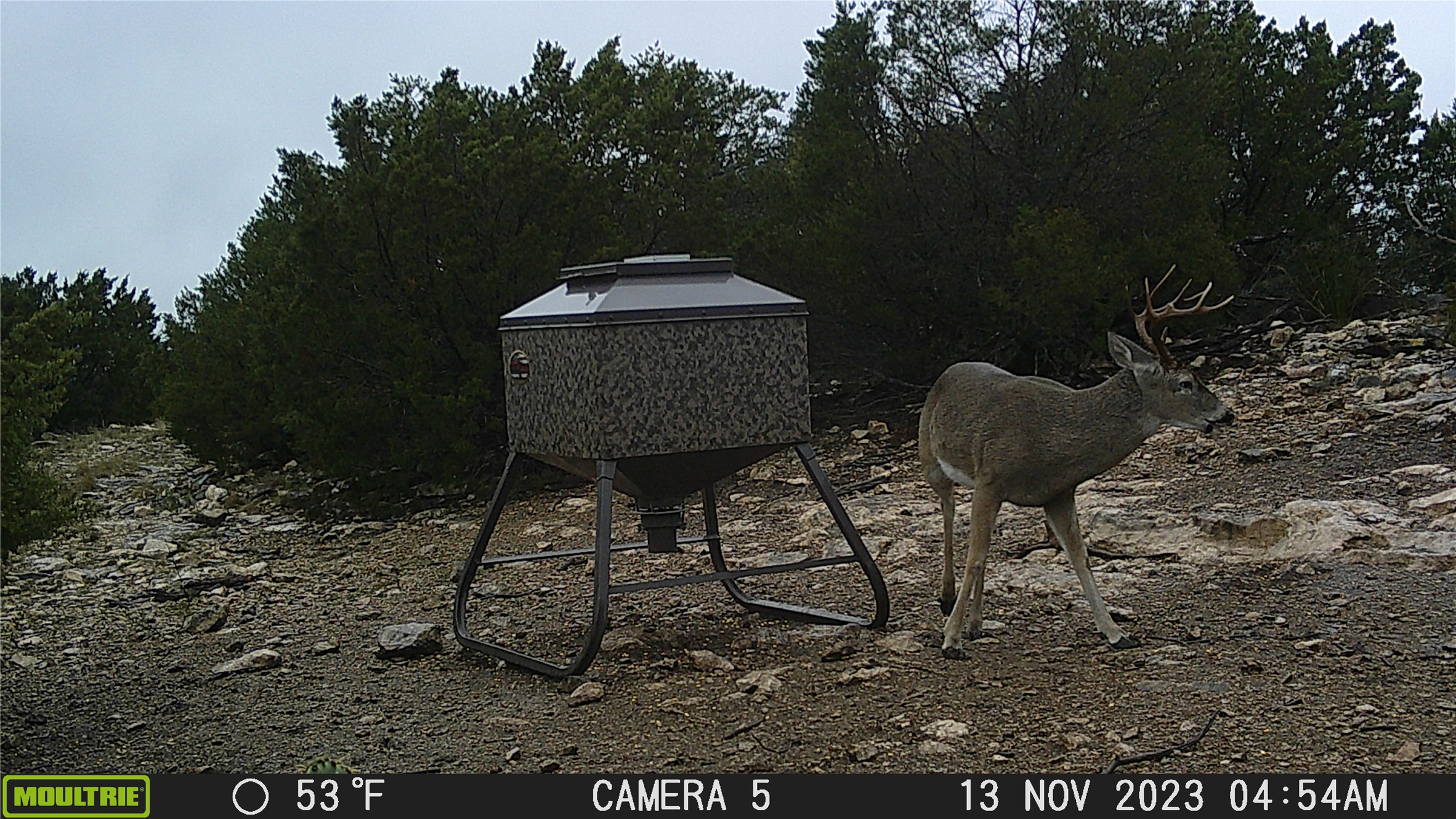 Undisclosed Address Rocksprings, TX 78880 - Photo 26 of 30 a backyard of a house with table and chairs