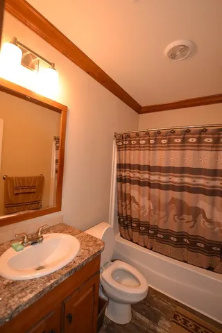 a bathroom with a sink mirror vanity and toilet