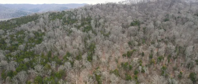 $225,000 | 0 Lancaster Highway, Hickman, TN 38567