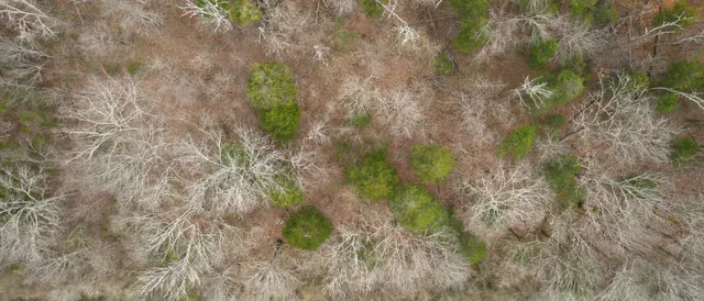 $225,000 | 0 Lancaster Highway, Hickman, TN 38567