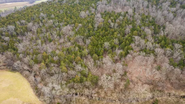 $215,000 | 0 Lancaster Highway, Hickman, TN 38567