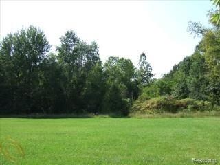 0 Haggerty Road Belleville, MI 48111 - Photo 1 of 4