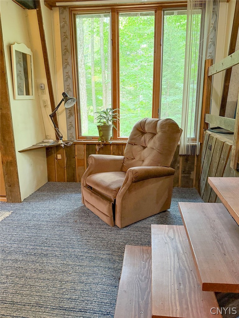 3147 Potter Road Osceola, NY 13437 - Photo 43 of 48