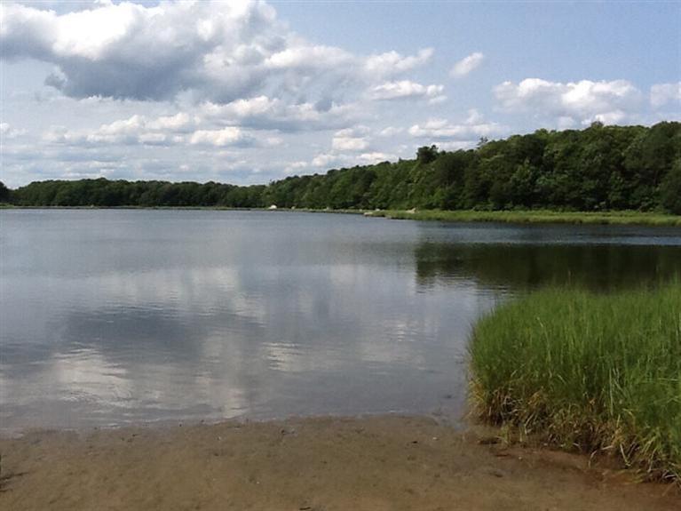 28 Eel Pond Road Monument Beach, MA 02532 - Photo 29 of 29 a view of a lake from a yard