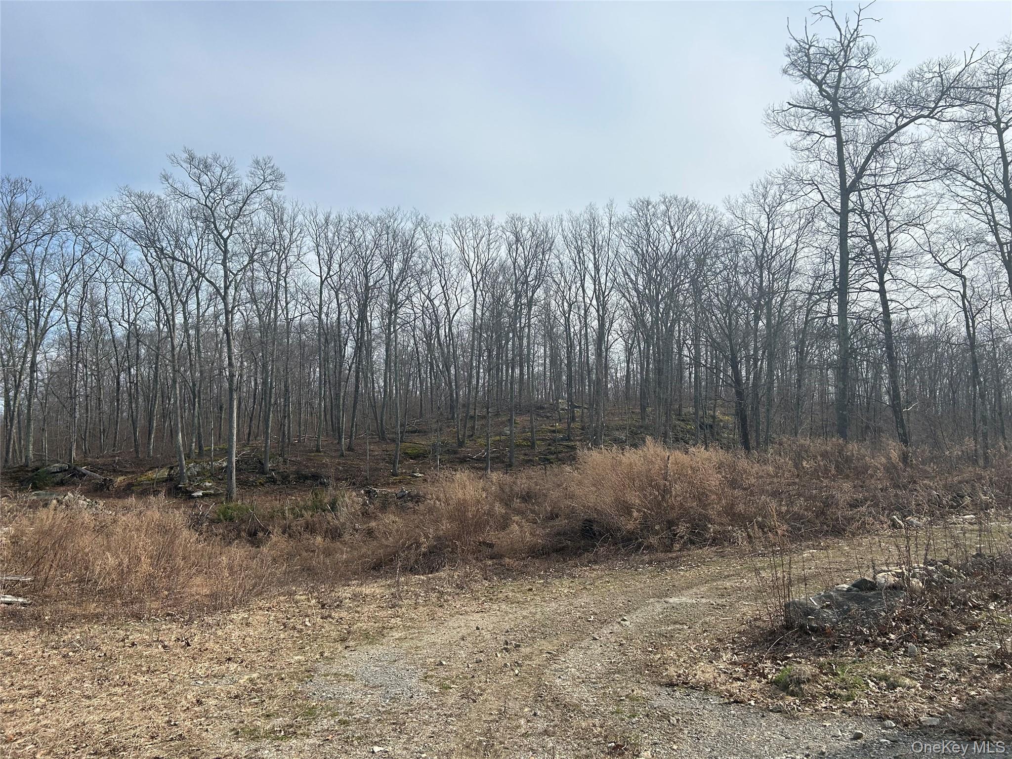 545 Grape Hollow Road Holmes, NY 12531 - Photo 12 of 28