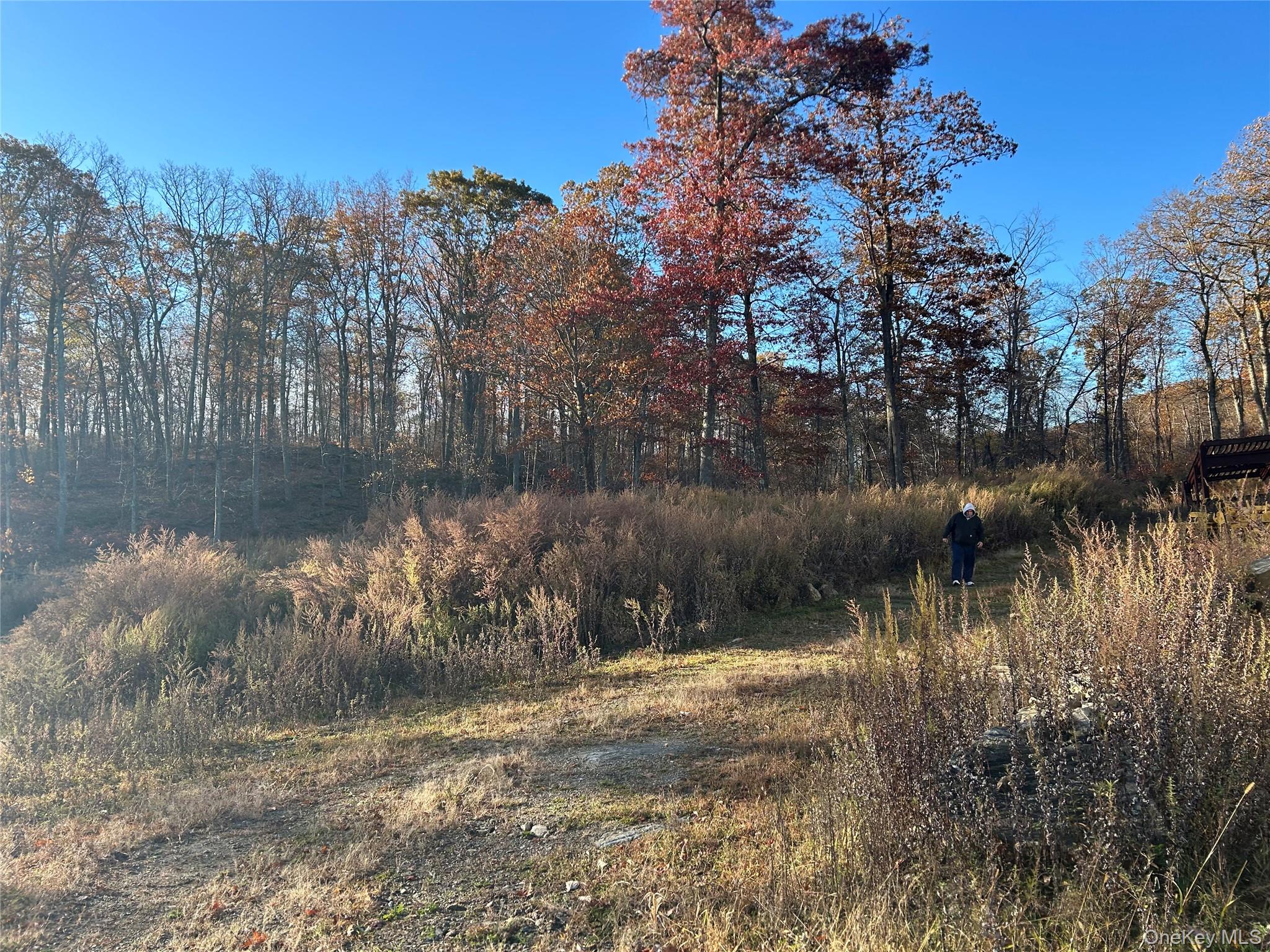 545 Grape Hollow Road Holmes, NY 12531 - Photo 13 of 15 a view of a lake with a yard