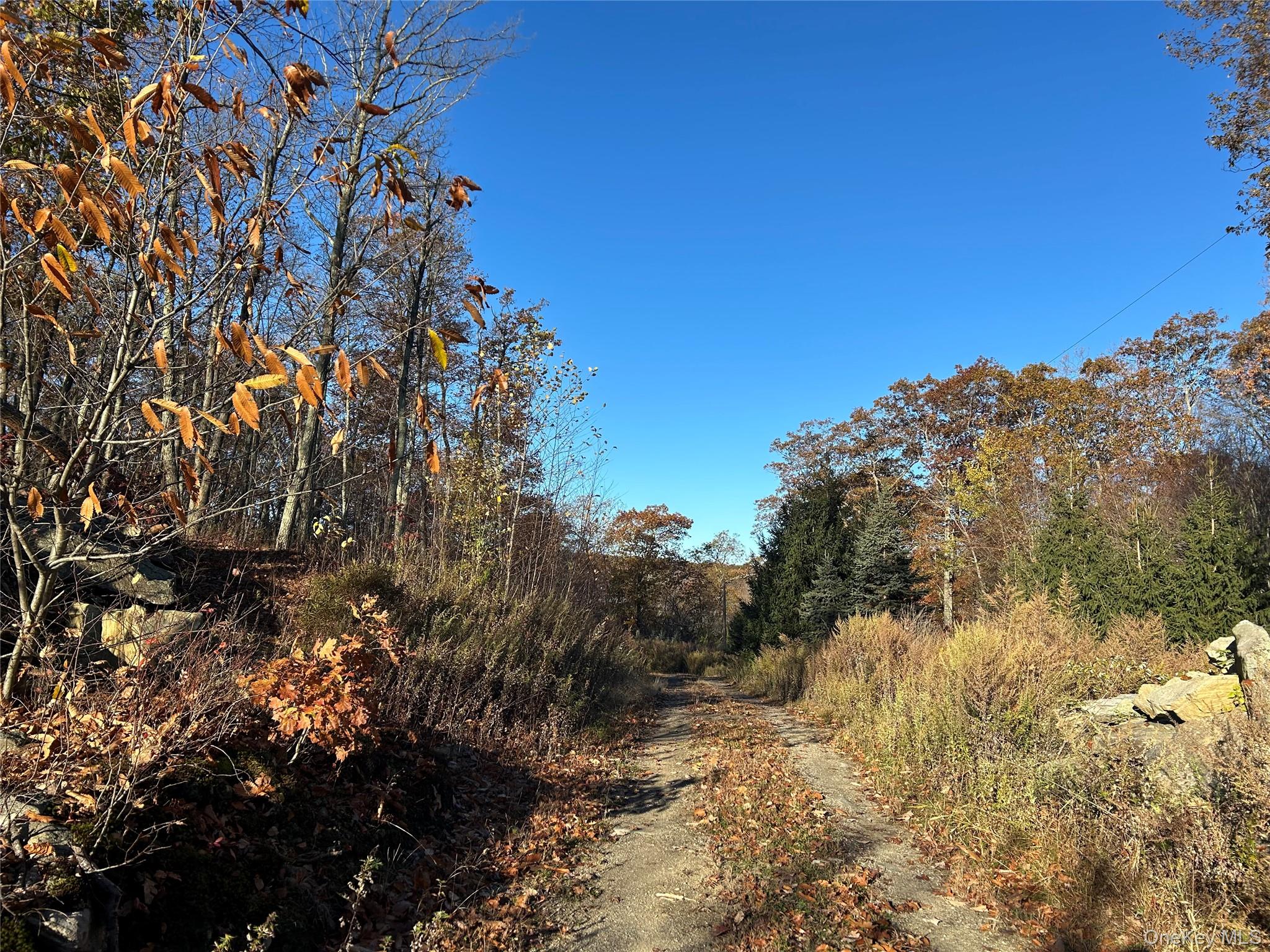 545 Grape Hollow Road Holmes, NY 12531 - Photo 14 of 28