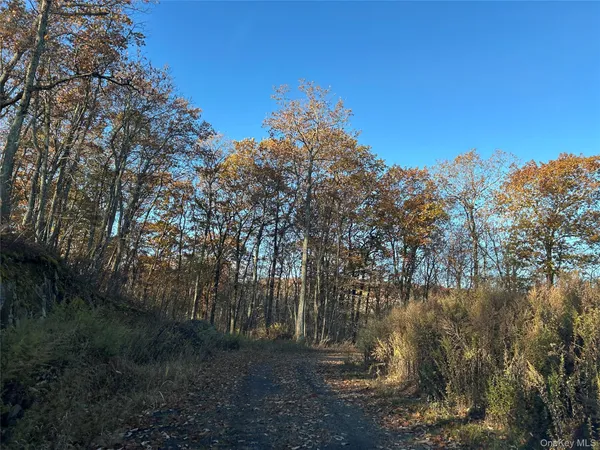 $750,000 | 545 Grape Hollow Road, Holmes, NY 12531