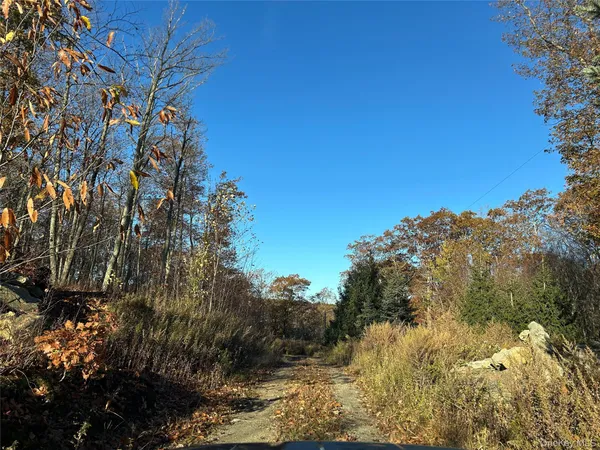 $750,000 | 545 Grape Hollow Road, Holmes, NY 12531