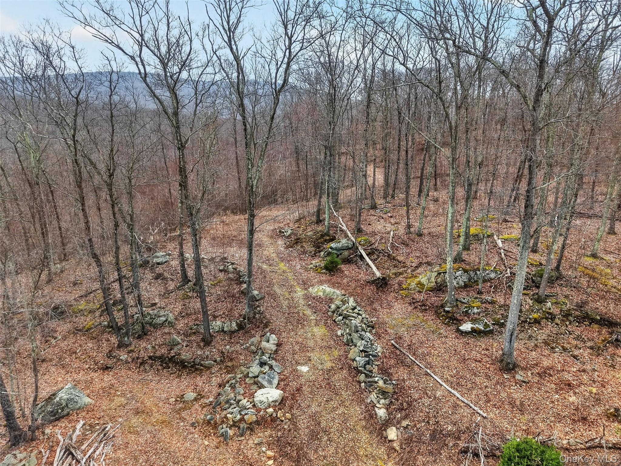 545 Grape Hollow Road Holmes, NY 12531 - Photo 2 of 28