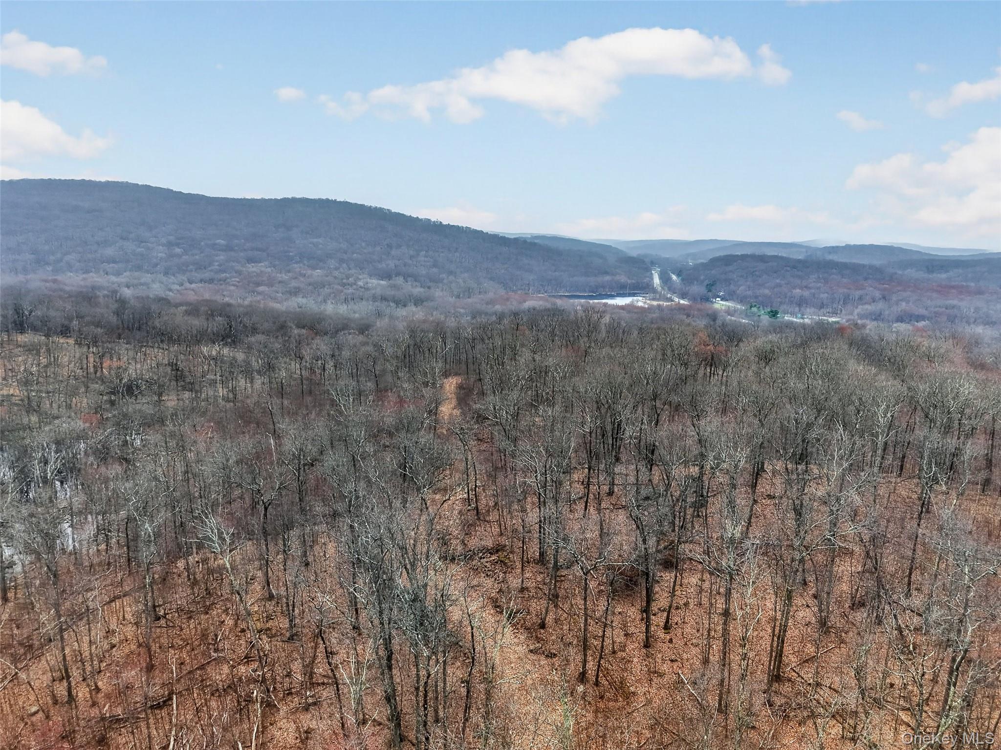 545 Grape Hollow Road Holmes, NY 12531 - Photo 25 of 28