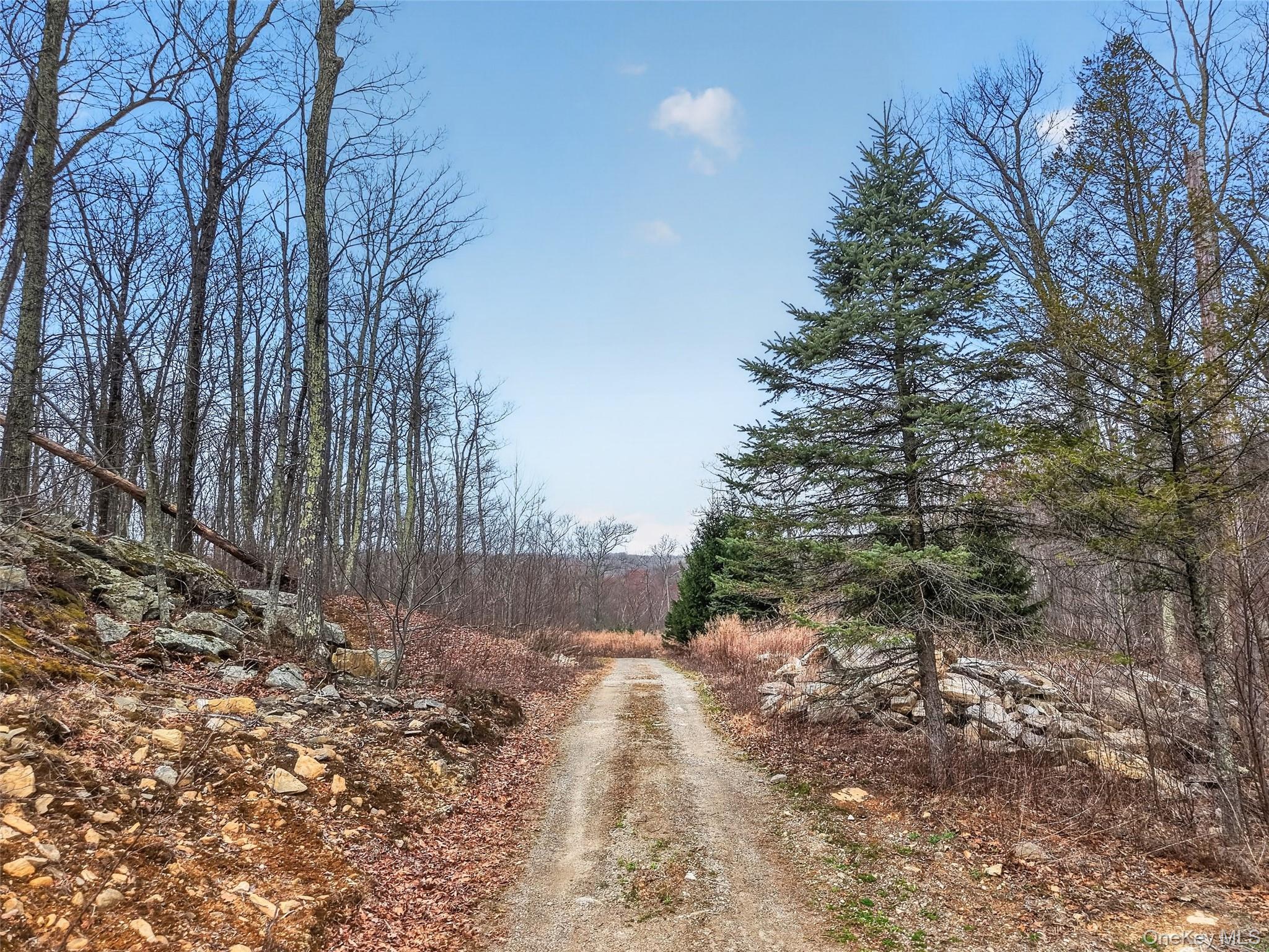 545 Grape Hollow Road Holmes, NY 12531 - Photo 3 of 28