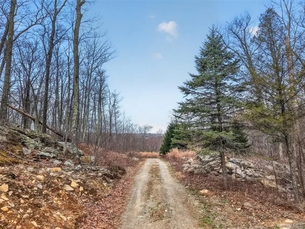 $750,000 | 545 Grape Hollow Road, Holmes, NY 12531