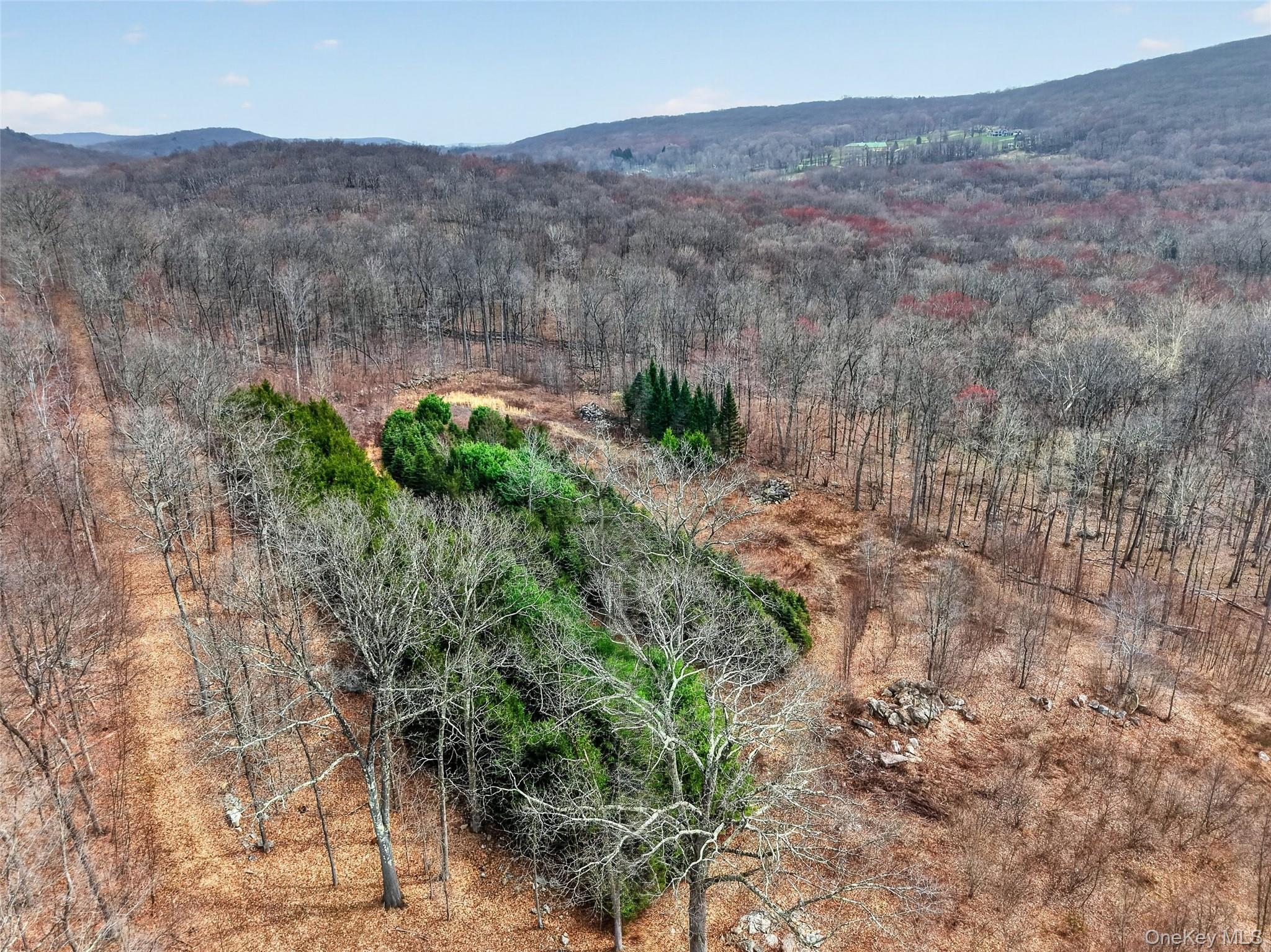 545 Grape Hollow Road Holmes, NY 12531 - Photo 10 of 28