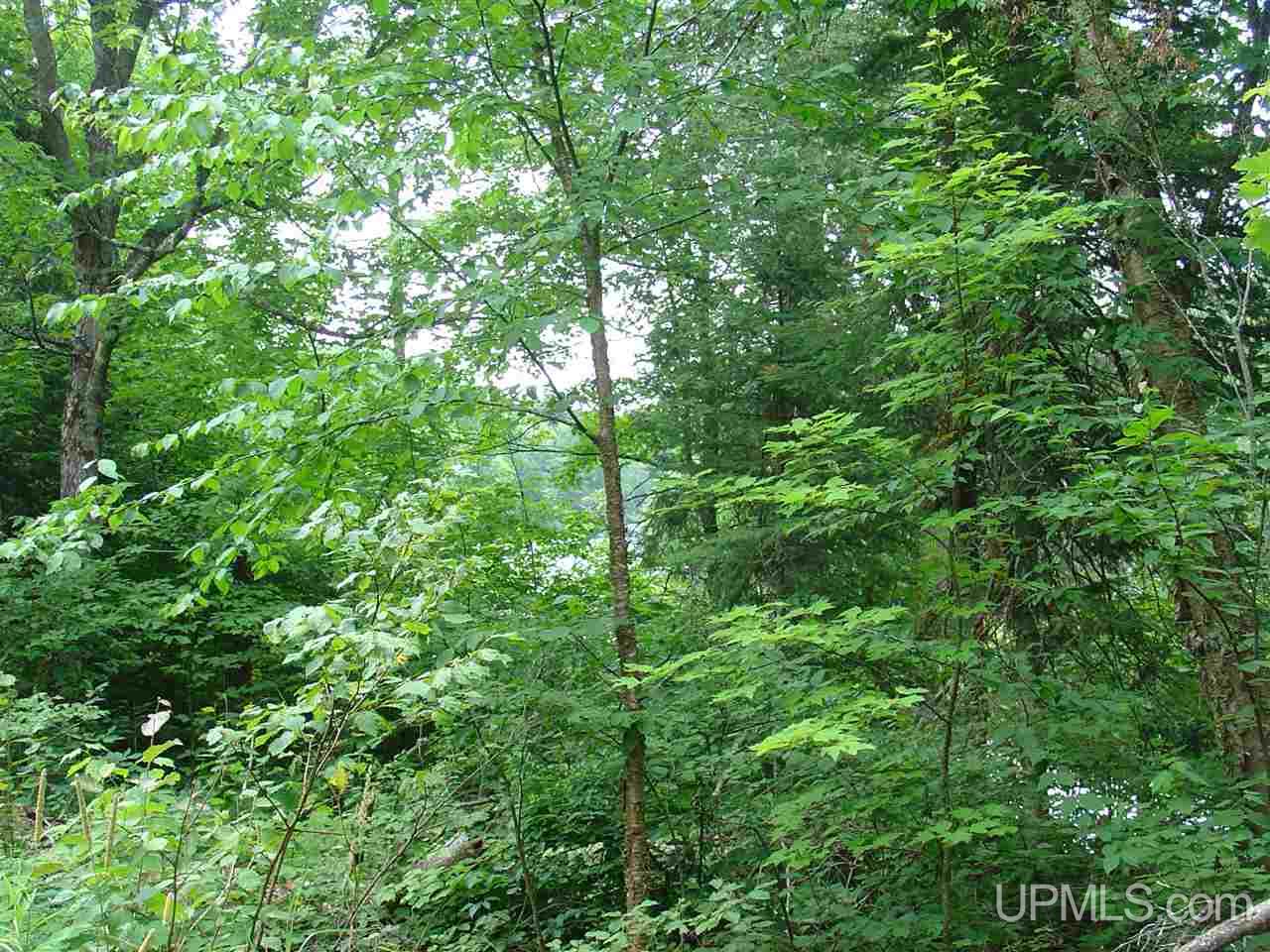 Off Ethelwood Grade Road Marenisco, MI 49947 - Photo 12 of 12