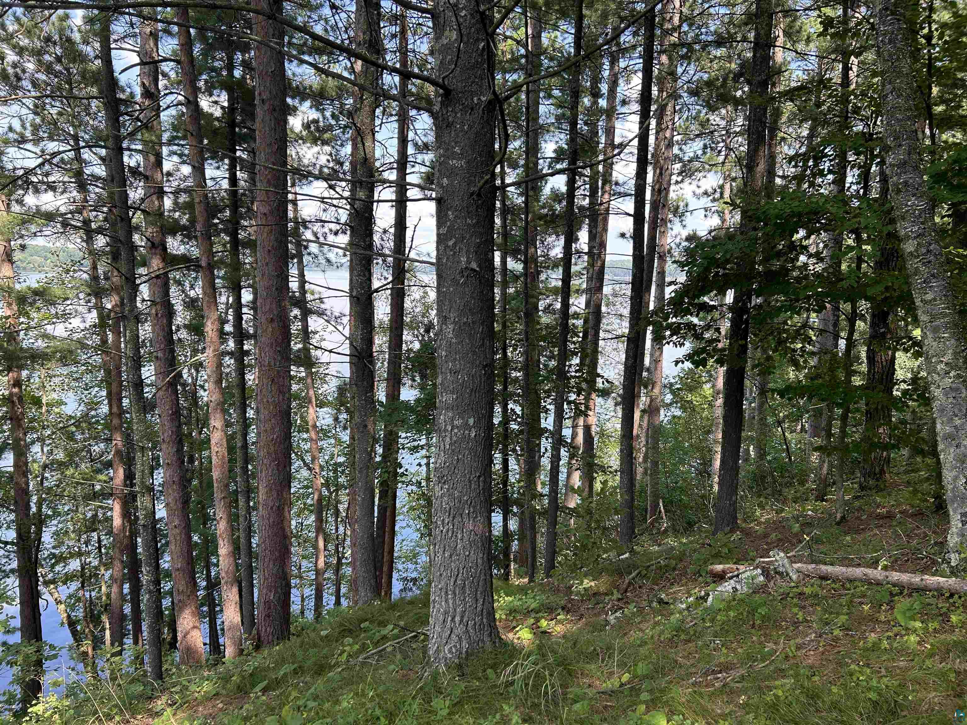 1102 Blackburn Road Spooner, WI 54801 - Photo 22 of 30 View of nature
