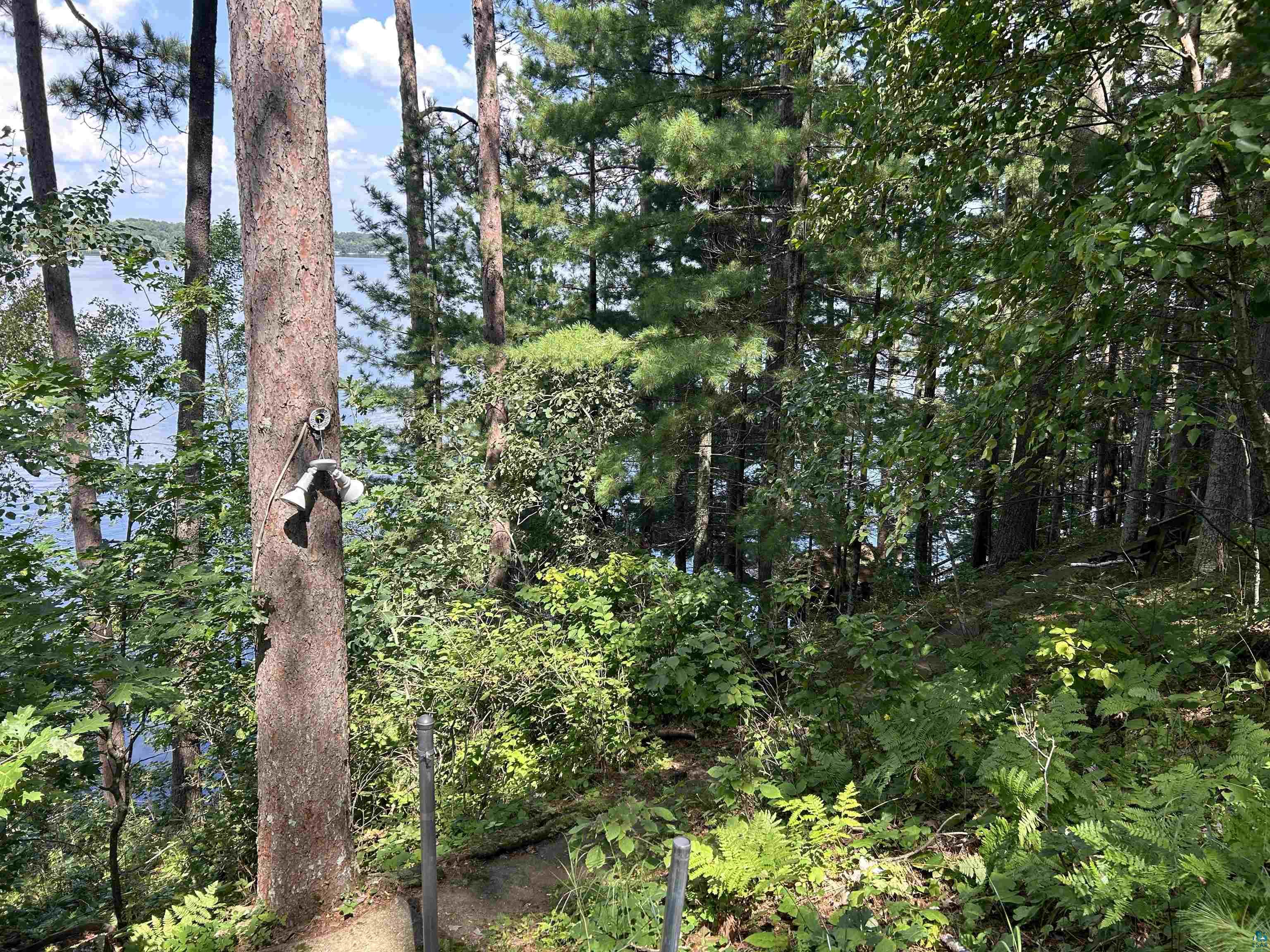 1102 Blackburn Road Spooner, WI 54801 - Photo 23 of 30 View of local wilderness