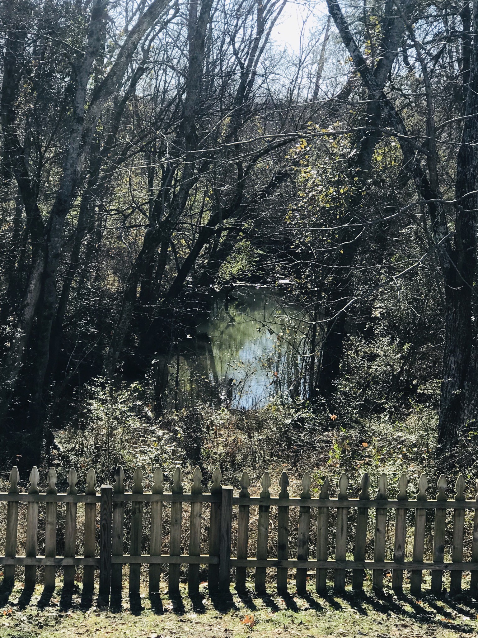 2012 McCrory Place Spring Hill, TN 37174 - Photo 18 of 18 a view of outdoor space