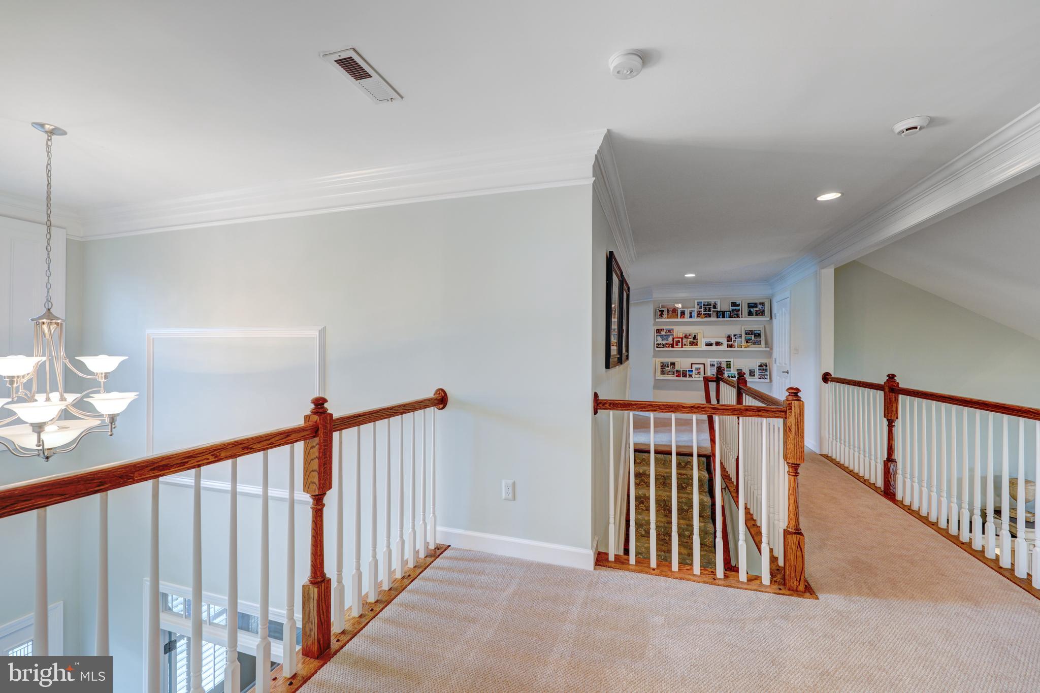 51 Windsor Road Rehoboth Beach, DE 19971 - Photo 68 of 123 Gallery Image 68