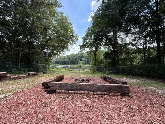 a backyard of a house with trees and outdoor space