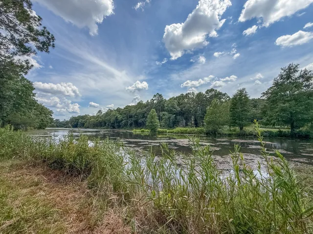 a view of a yard with an outdoor space