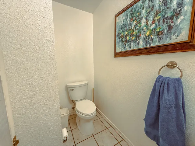 a bathroom with a toilet and a shower curtain
