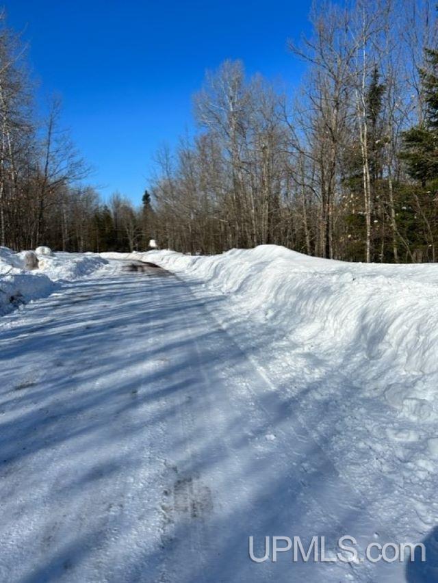 Tbd Lot#37 Tbd Road Bessemer, MI 49911 - Photo 1 of 6