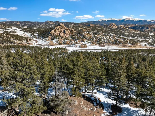 a view of a backyard with large trees
