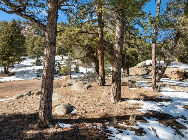 $40,000 | Conifer Circle, Florissant, CO 80816