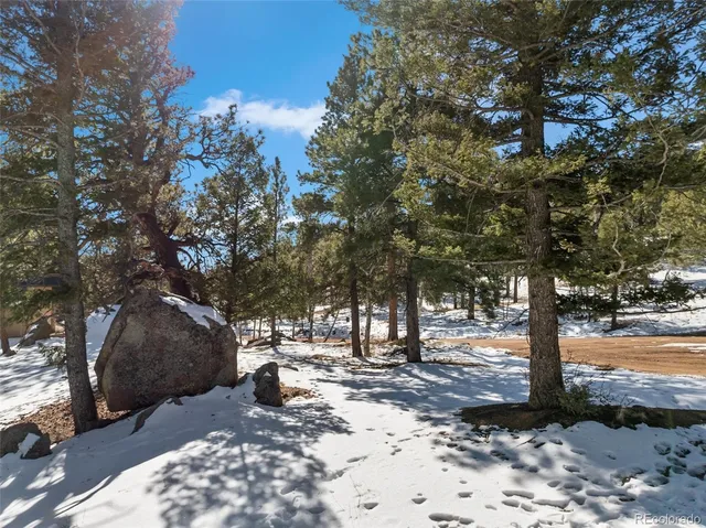 $40,000 | Conifer Circle, Florissant, CO 80816
