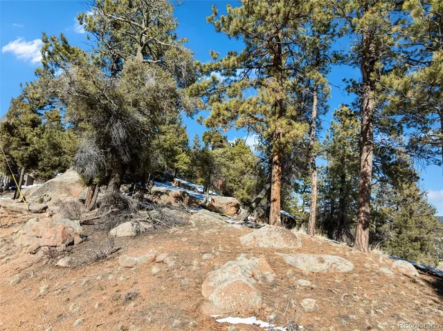 $40,000 | Conifer Circle, Florissant, CO 80816