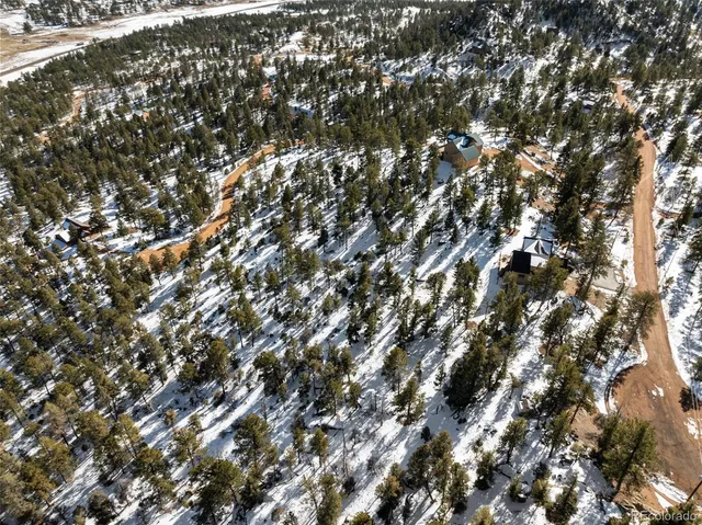 a tree in the middle of a yard
