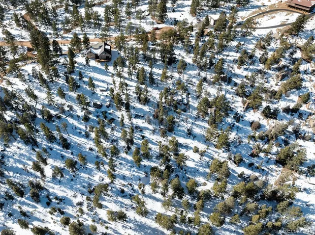 a view of a street with a tree