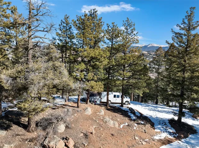 a view of a yard with plants and trees