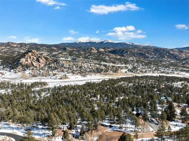 a view of a tree in a yard