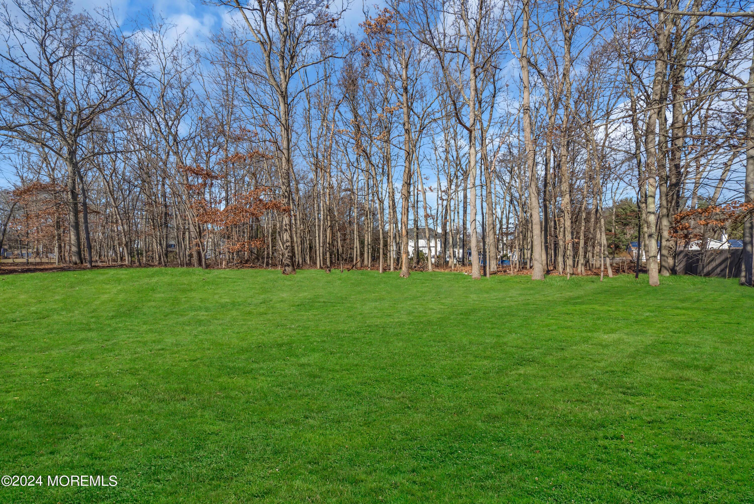 6 Afton Road Jackson, NJ 08527 - Photo 69 of 80 095_bjc01579-1