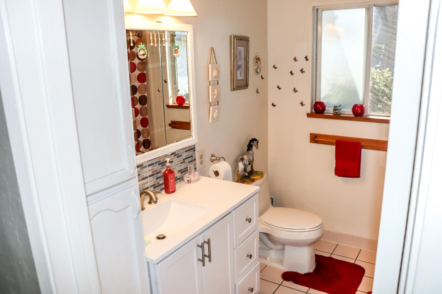 161 Ribier Avenue Modesto, CA 95350 - Photo 13 of 26 a bathroom with a sink toilet and shower