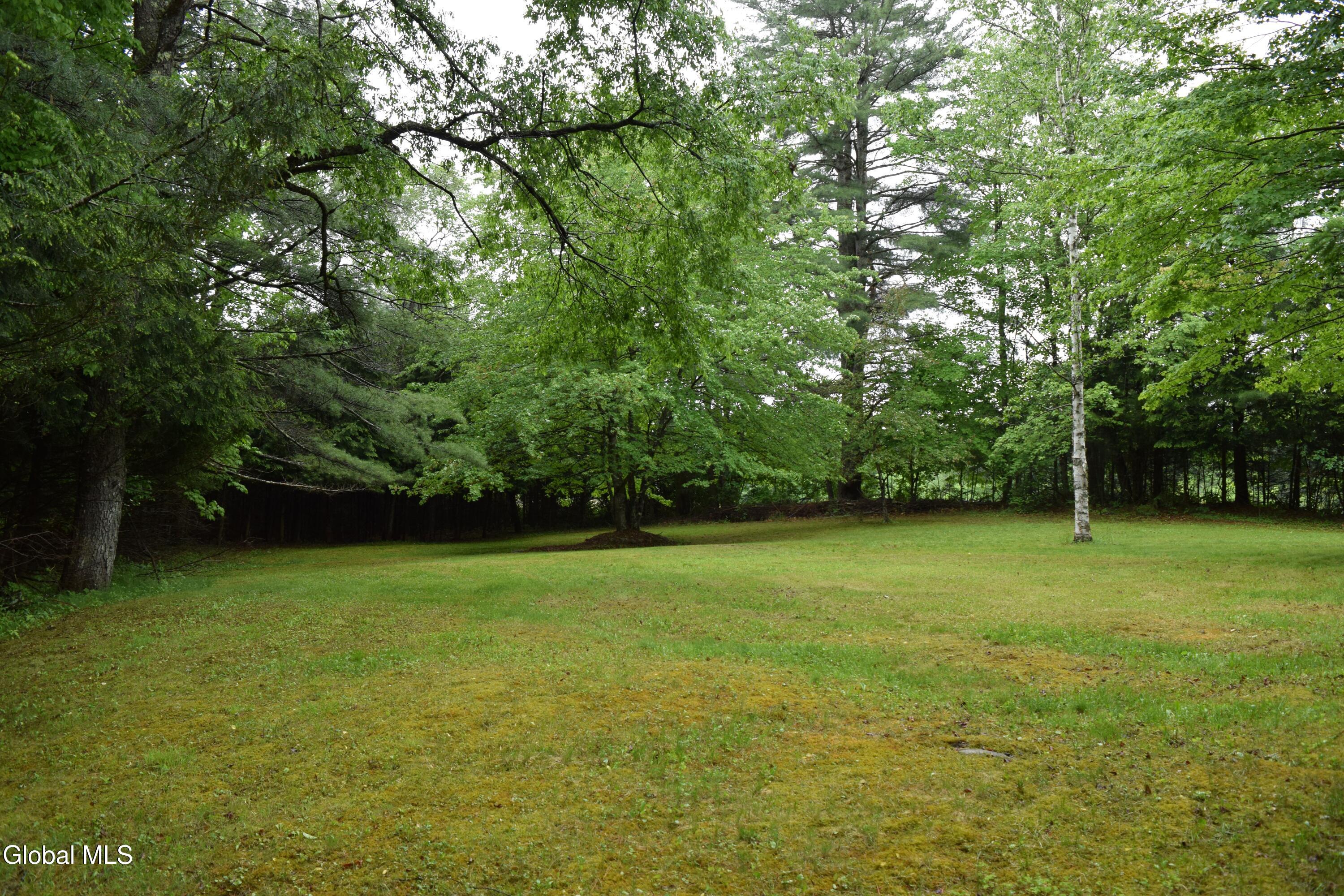 65 Donnelly Road Minerva, NY 12857 - Photo 54 of 56 DSC_0687