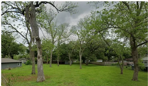 a view of a park with large trees