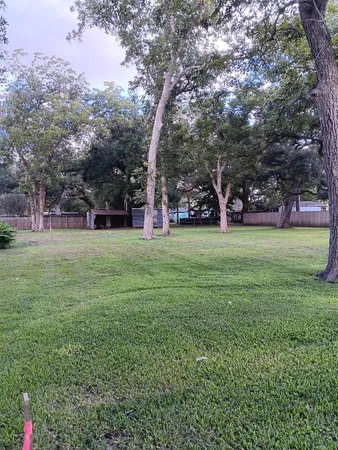 a view of a park with large trees