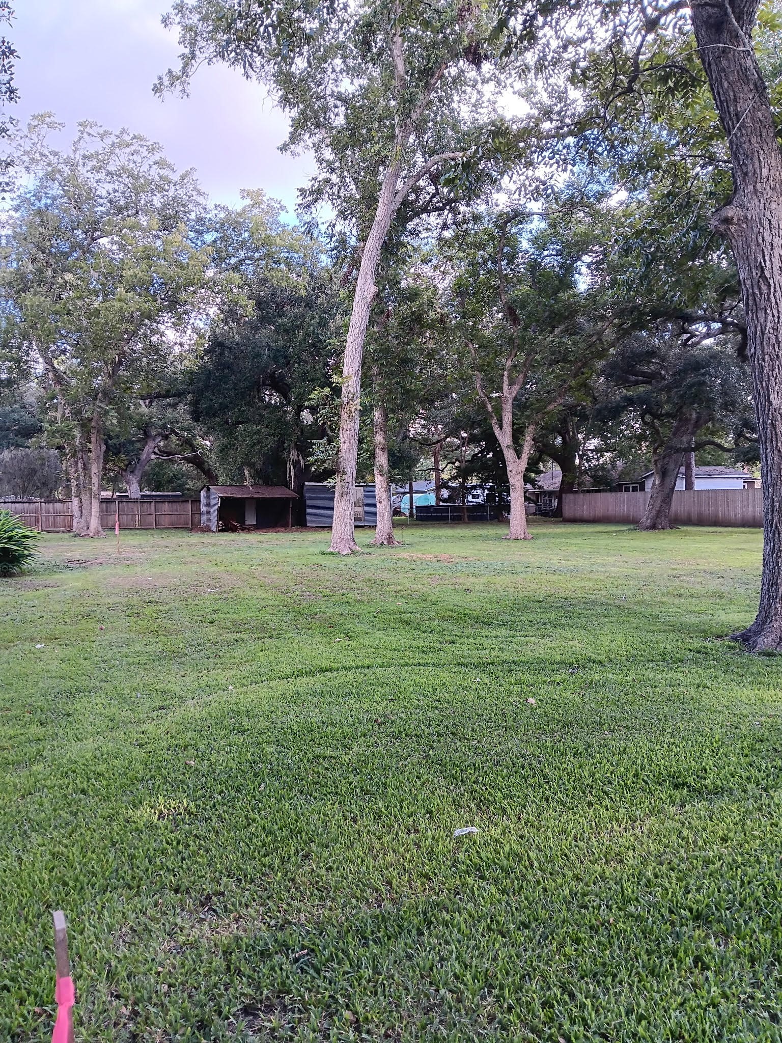 0 South Hackberry Street Sweeny, TX 77480 - Photo 2 of 5 a view of a park with large trees