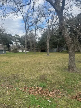 a view of a yard with a tree