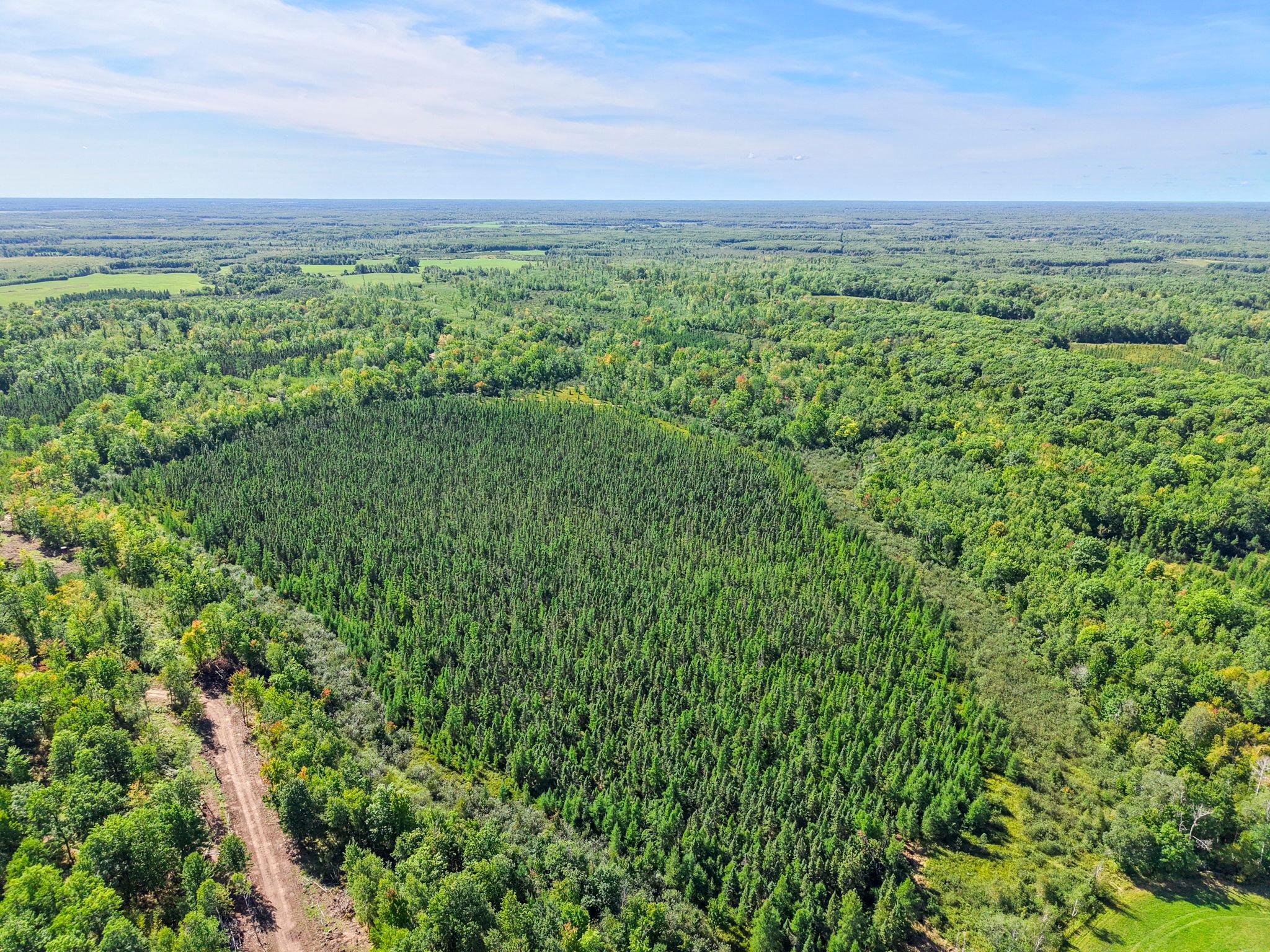 Xxx Fleming Logging Road Hinckley, MN 55037 - Photo 72 of 87 Gallery Image 72