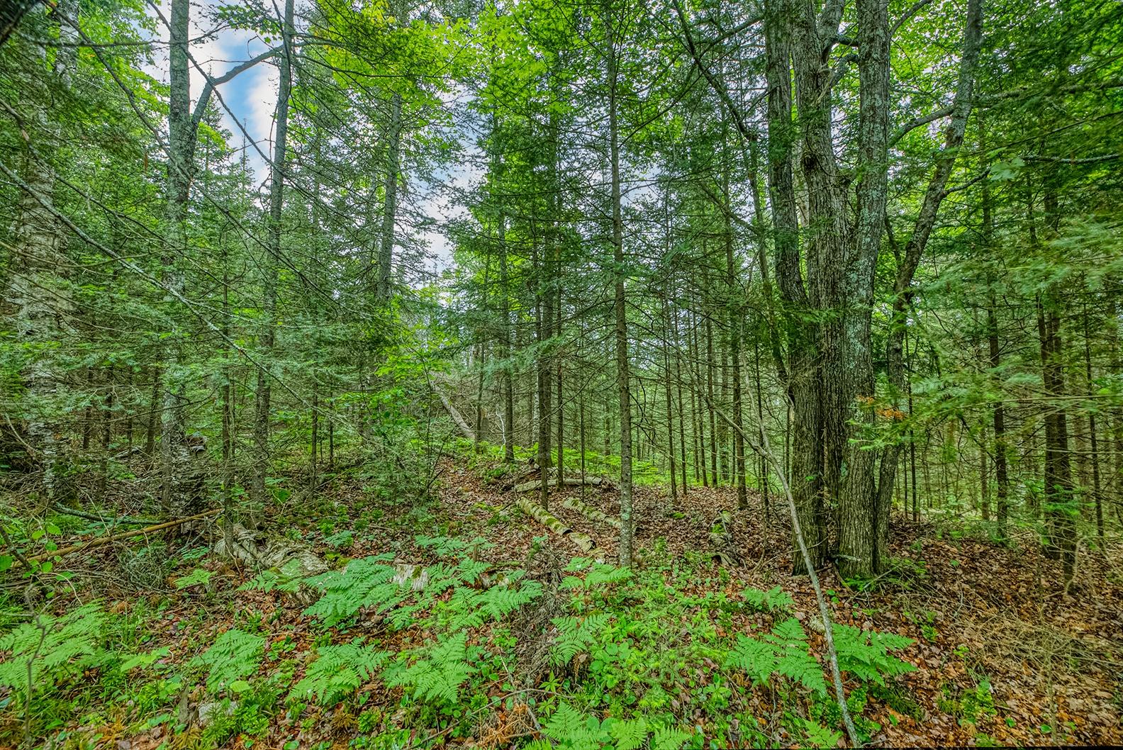 Three Lehman Road Three Lakes, WI 54562 - Photo 12 of 18 Gallery Image 12