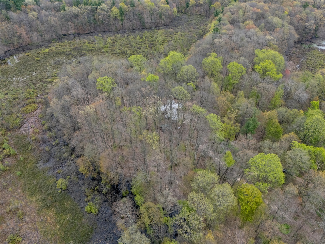 22431 Paulson Road Gobles, MI 49055 - Photo 50 of 52