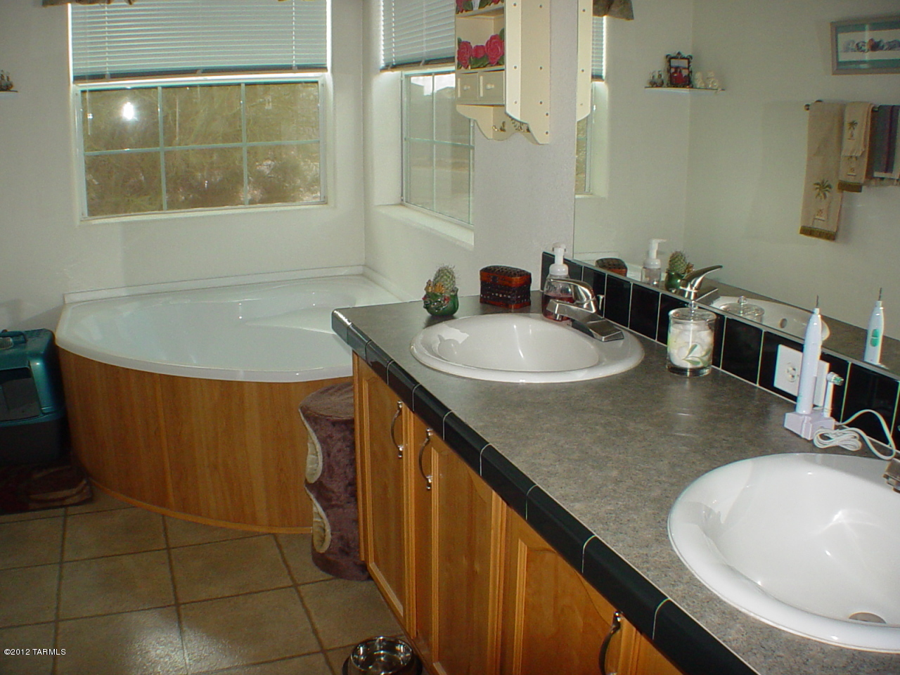 11995 South Cienega Ridge Place Vail, AZ 85641 - Photo 22 of 23