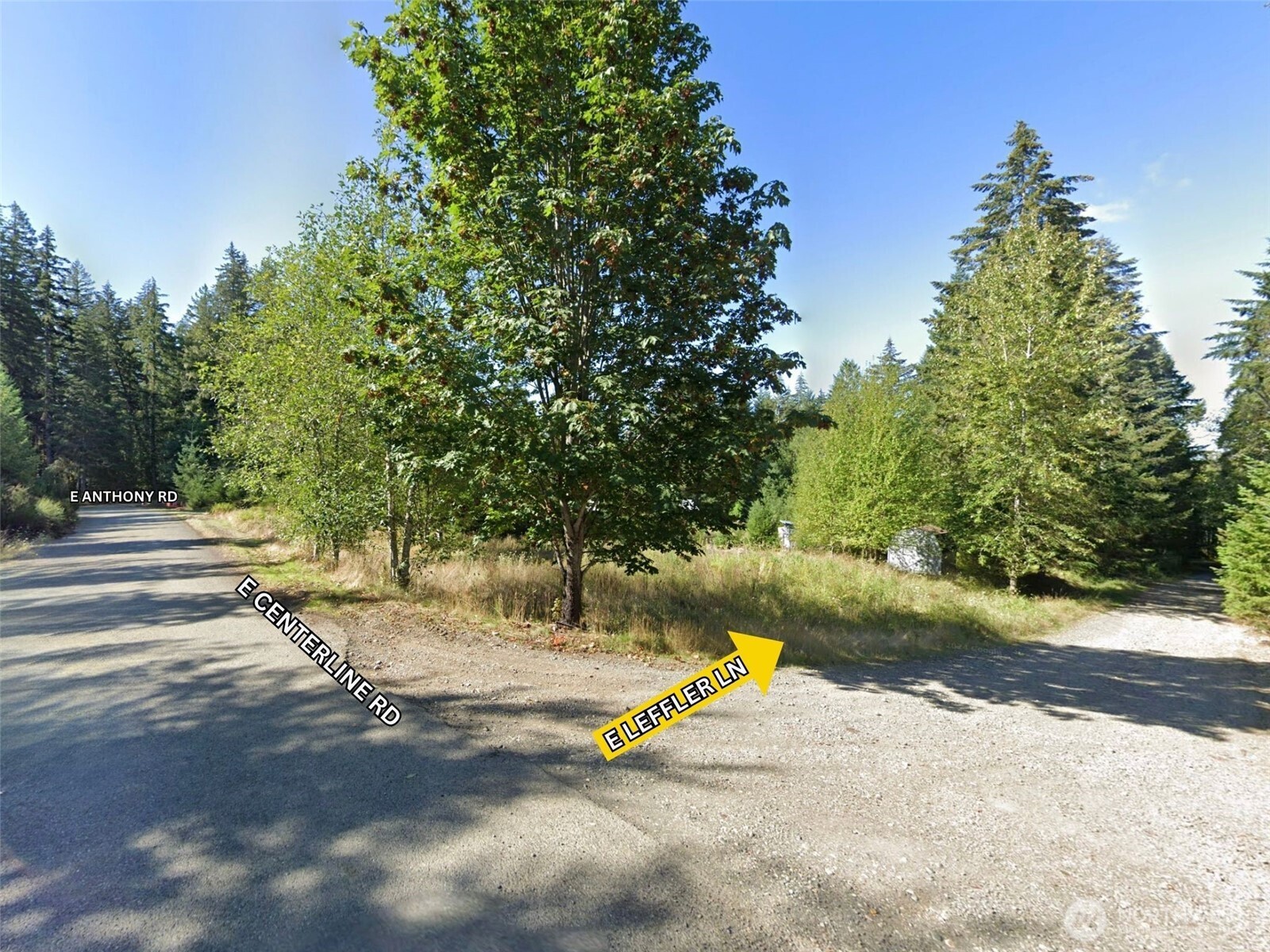 100 East Leffler Lane Grapeview, WA 98546 - Photo 12 of 19 a view of a park with large trees